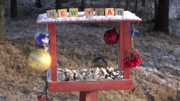 Año Nuevo decorado alimentador de aves y aves hambrientas — Vídeos de Stock