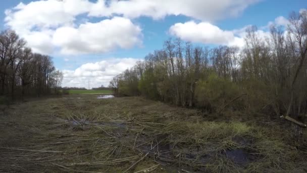 Línea eléctrica de alto voltaje en bosque de primavera y nubes, lapso de tiempo — Vídeos de Stock