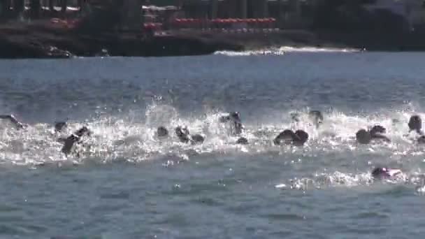 Swimming competition in Canary Islands, Spain — Stock Video