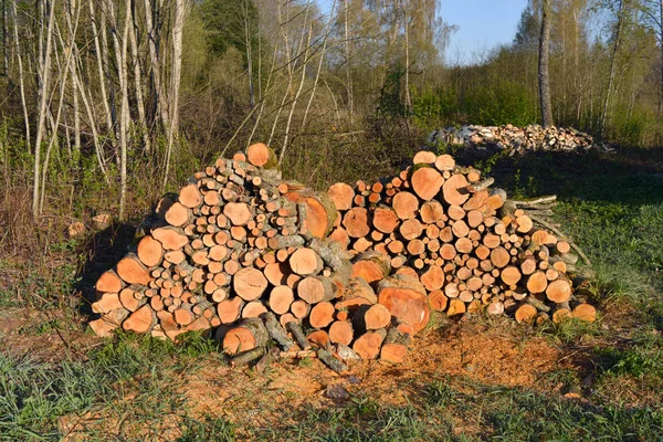 Řezat dříví zásobníku poblíž lesa v zemědělské půdy — Stock fotografie