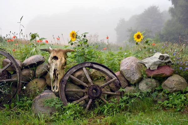 Misty  morning in farm, decorative fence with wheels and  skulls — Stock Photo, Image