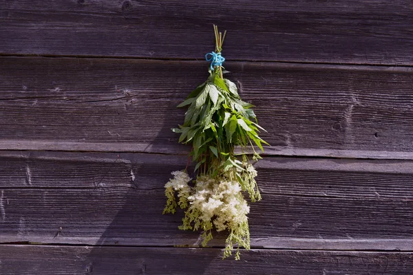 Plante médicale meadowsweet Filipendula ulmaria bouquet sur le mur de la grange — Photo