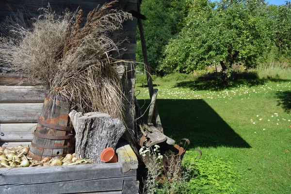 Historical  barn wall with ancient wooden barrel and dry plants — Stock Photo, Image