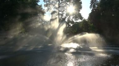 Güzel çalışma dekoratif yaz çeşme nehir su