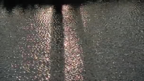 Quelle See Wasser Mit Wald Baum Schatten Abend Dunkel Abstrakte — Stockvideo