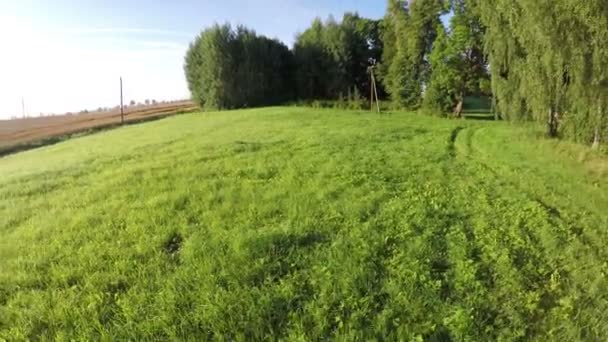 Drohne Fliegt Über Grüne Wiese Nahe Sommerwald — Stockvideo