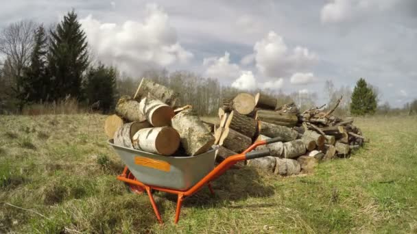 早春のフィールド 時間の経過 に薪で手押し車 — ストック動画