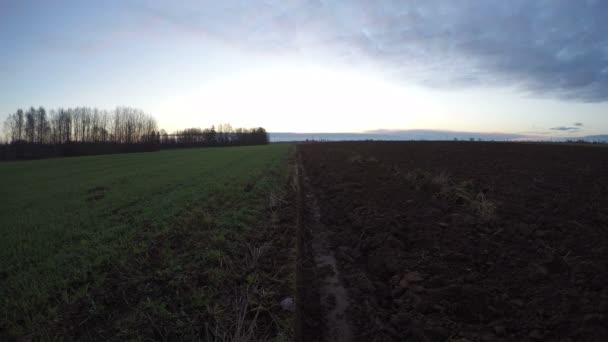 日出在犁的秋天时间耕地领域 时间流逝4K — 图库视频影像