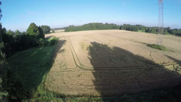 Altura de la mosca del dron sobre el paisaje final del verano con campos y árboles, vista aérea — Vídeos de Stock