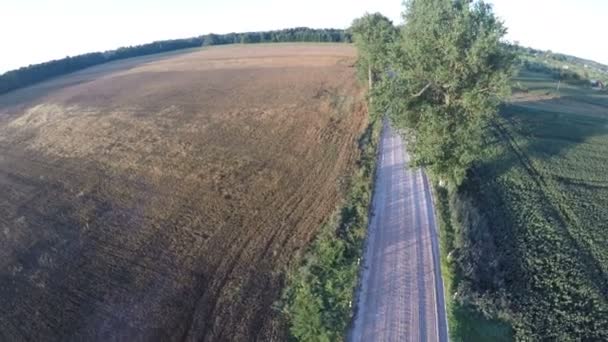 Vista aérea sobre la hermosa carretera de grava de tierras de cultivo en el final del verano — Vídeos de Stock