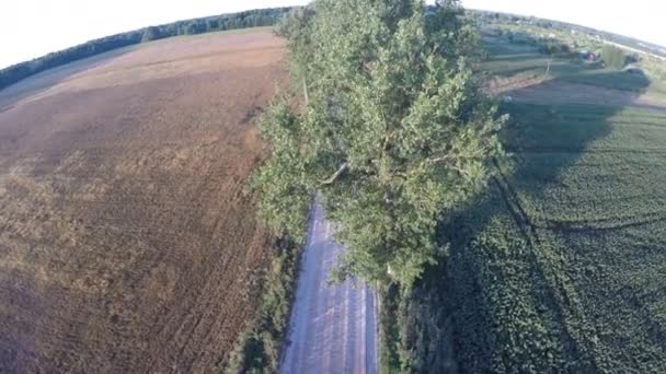 Летающий над сельской дорогой беспилотник разбился на деревьях — стоковое видео