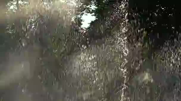 Fontaine eau éclaboussure fond — Video