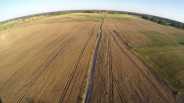 Drone olgun yaz bitiş kırpma alanları güneşli akşam üzerinden gelen havadan görünümü