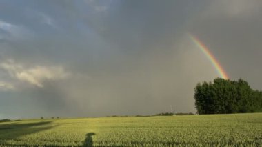 Güzel gökkuşağının üstünde yaz ortası tarım arazileri kırpma alanları