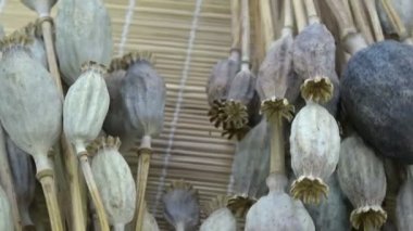 Bambu hasır demet kuru haşhaş başlarına döndürme