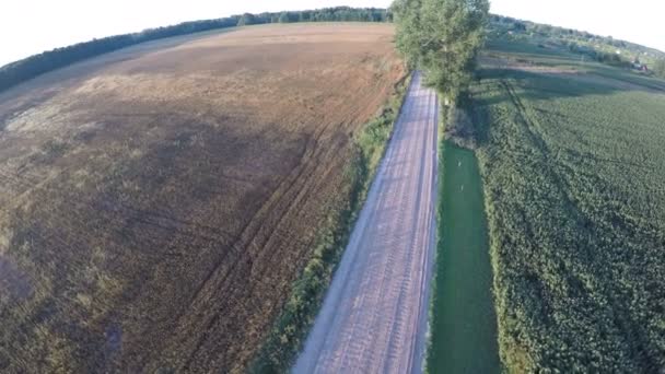 Aerial View Drone Beautiful Summer Morning Rural Gravel Road Trees — Stock Video