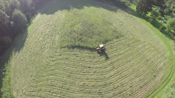 農地の夏最後の牧草地から草 ドローンから空撮を刈る赤い小さな古いトラクター — ストック動画