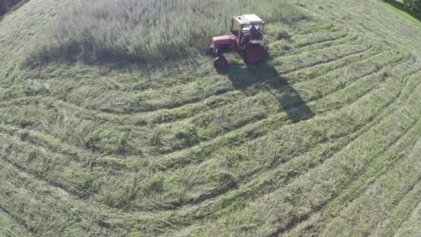 Röd Liten Retro Traktor Klippa Slåtter Gräs Från Slutet Sommaräng — Stockvideo