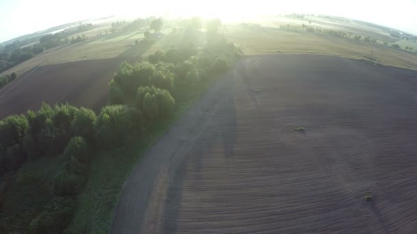 日の出後の農地 ドローンから空撮夏終わり朝の陽光 — ストック動画