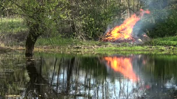Весняний вогонь на березі озера — стокове відео