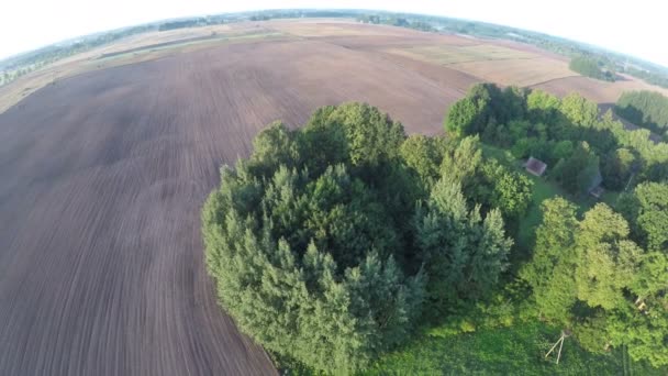 Sowed autumn fields and old homestead, aerial view — Stock Video