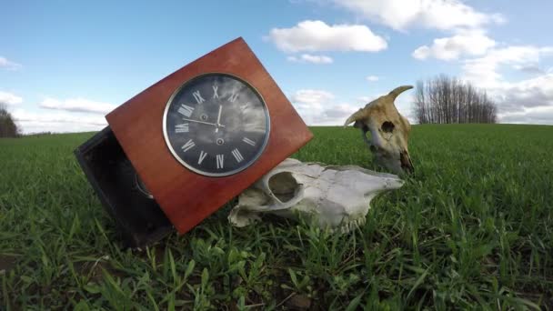 Antigua caja de reloj de pared y cráneos de animales en el campo, concepto de agricultura, lapso de tiempo — Vídeos de Stock