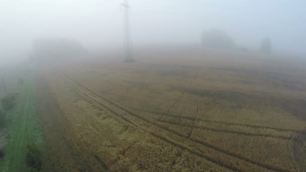 Puslu yaz sabahı tarım arazileri peyzaj, havadan görünümü üzerinde uçan robot — Stok video