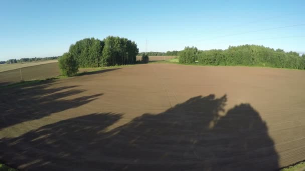 Morning shadows on sowed field in autumn, aerial view — Stock Video