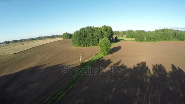 Verão fim sombras da manhã no campo recém-semeado, vista aérea — Vídeo de Stock