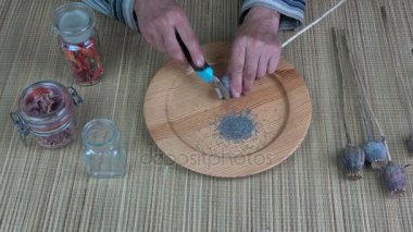 Kadın kıdemli eller haşhaş kafasını kesip toplama tohumları 