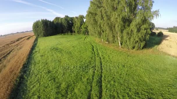 Drone in zomer einde vlieg omhoog over landbouwgrond landschap — Stockvideo