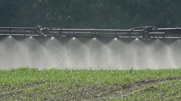Tractor spraying agriculture field, machinery detail — Stock Video