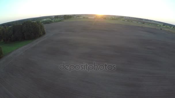Καλοκαίρι τέλος Ανατολή του ηλίου πάνω από χωράφια και άλσος δέντρων, αεροφωτογραφία — Αρχείο Βίντεο