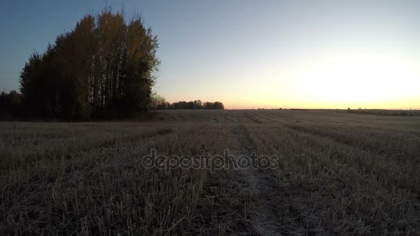 Krásná podzimní východ slunce nad sklizené pole s aspen grove, časová prodleva — Stock video