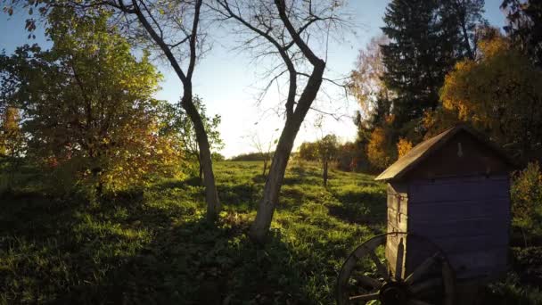 Puesta de sol de otoño en el jardín con colmena y árboles, lapso de tiempo — Vídeo de stock