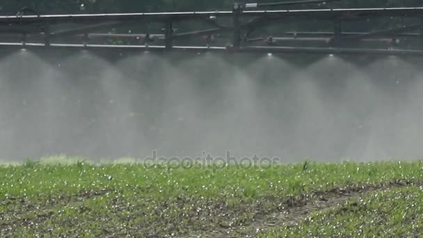 Tractor Spraying Agriculture Crop Field Machinery Sprayer Detail — Stock Video