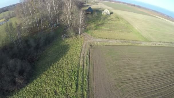 在秋季 无人驾驶飞机飞越农田和旧木房子 — 图库视频影像