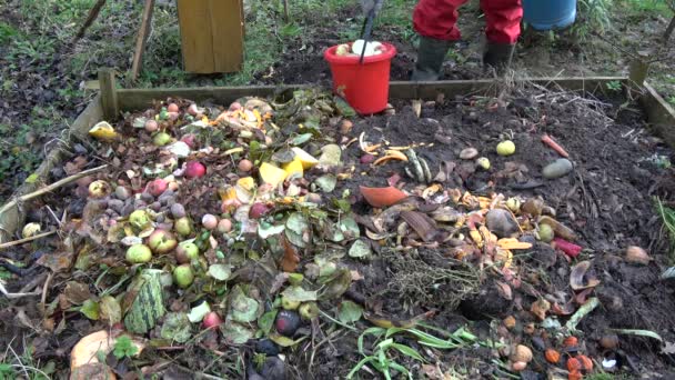 Jardineiro Despeje Vegetais Frutas Resíduos Pilha Compostagem — Vídeo de Stock