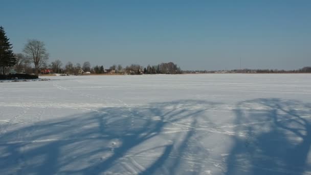 Sombras Árvore Manhã Neve Lago Gelada Inverno Zangão Paisagem Inverno — Vídeo de Stock