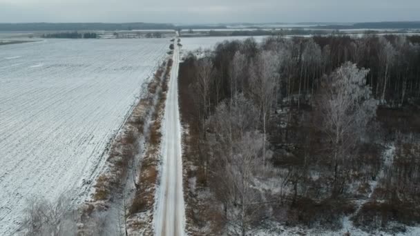 Ackerland Schotterstraße Winter Und Frostiger Baum Wald Luftaufnahme Von Der — Stockvideo