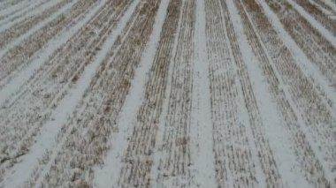 Drone fly kış Tarım Çiftlik alanı buğday anız karda ile yukarıda
