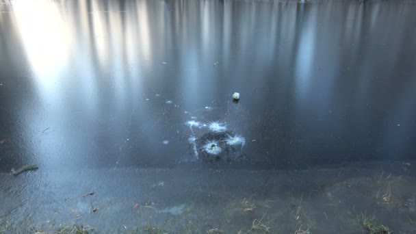 Stein Fällt Auf Herbstliches Eis See — Stockvideo