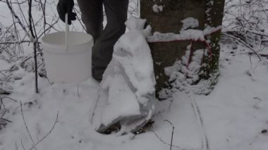 Yemek için plastik çuval kar yağışı sonra erken baharda ilk akçaağaç sap