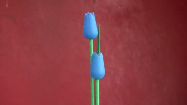 Kırmızı zemin üzerine dönen iki Ahşap dekoratif laleler