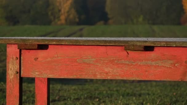 Old Red Wooden Table Farm Yard Autumn Fields — Stock Video