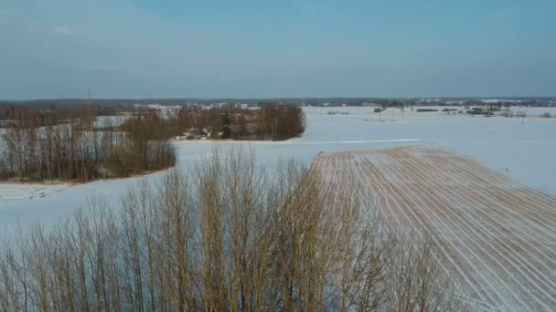无人驾驶飞机在冬季农田上空飞过小麦茬和灌木 鸟瞰图 — 图库视频影像