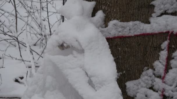早いばねおよび降雪の最初のメープル樹液の雪に覆われたプラスチック袋 — ストック動画