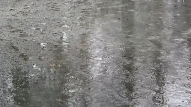 Våren Vatten Och Regn Droppar Natur Bakgrund — Stockvideo