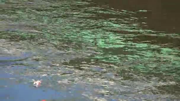 River Vatten Färgglada Bakgrund Med Staden Hus Reflektioner — Stockvideo
