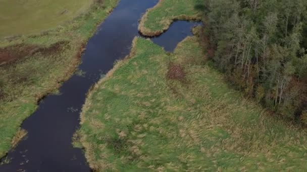 Sonbahar Zamanı Taze Nehir Kıvrılır Ağaçlar Hava Manzarası — Stok video